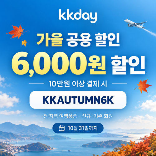 KKday κ³΅μ© 6μ²μ ν μΈμ½λ